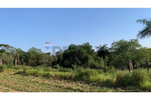 en venta en Mariano Roque Alonso
