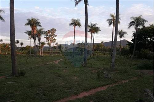 Granja San Isidro: — foto 3