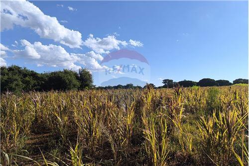 en venta en Carmen Del Paraná