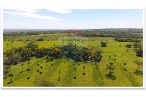 Campo en venta en Arroyos Y Esteros — foto 3