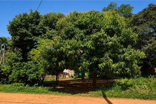 en venta en Luque
