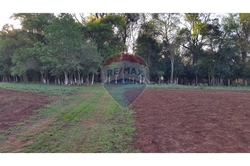 en venta en Carmen Del Paraná