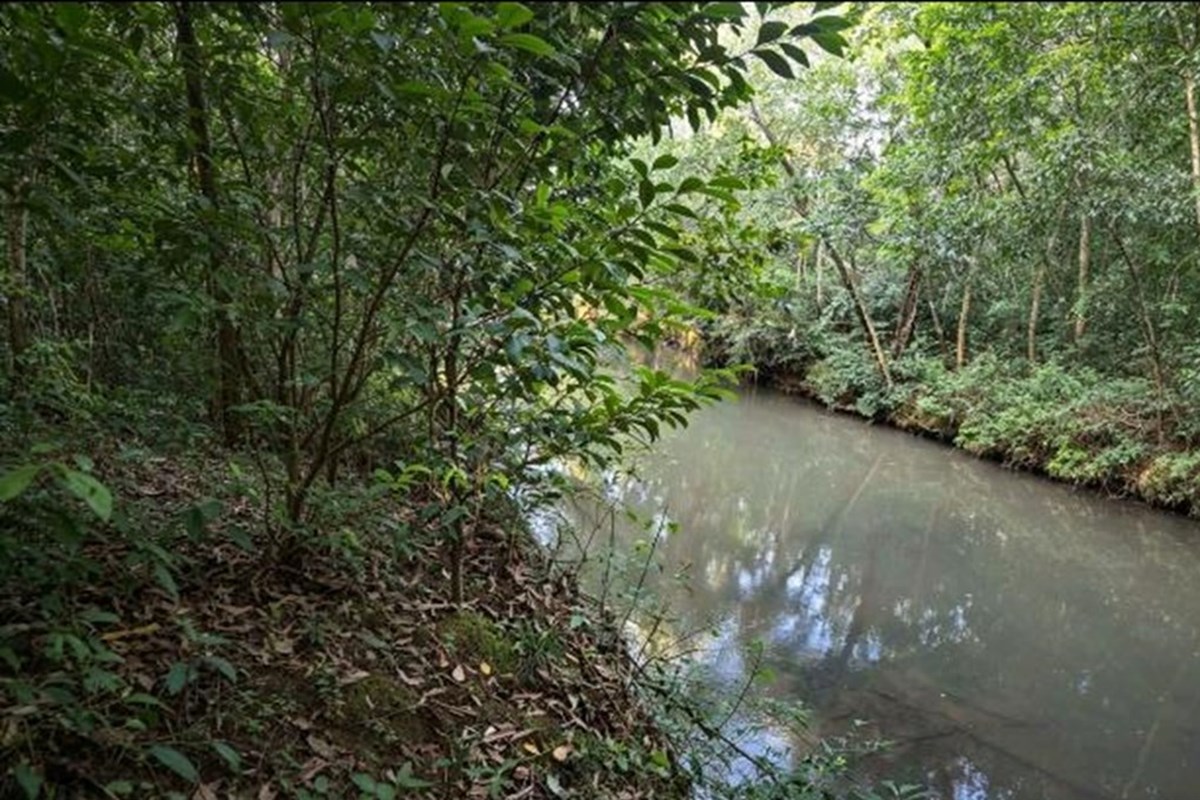Terreno en venta en Encarnación — foto 2