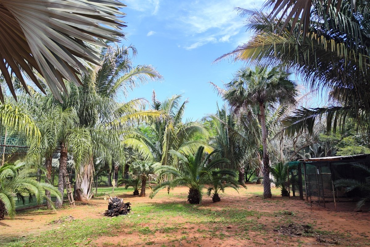🏡 Espectacular Quinta en Venta en Itá Naturaleza, Confort y Recreación — foto 3