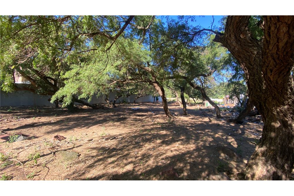 Terreno en venta en Lambaré — foto 3