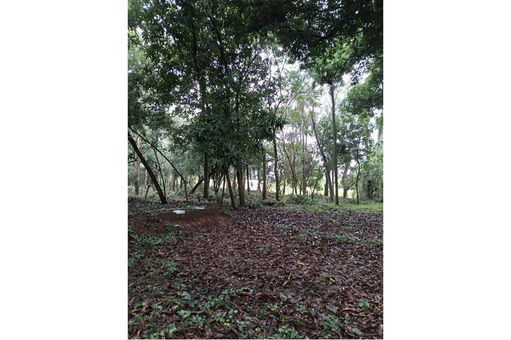 Terreno en venta Itá, zona Tape Tujá — foto 3
