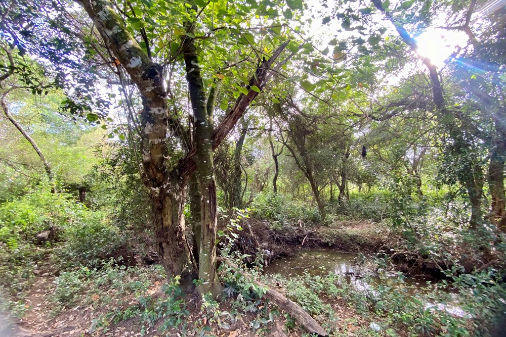 Terreno en venta en Arroyos Y Esteros — foto 3
