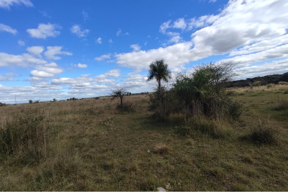 Terreno en venta en Villeta — foto 3