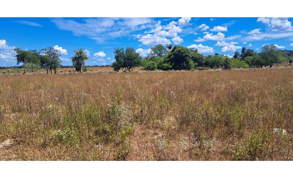 Terreno en venta en Pirayú — foto 3