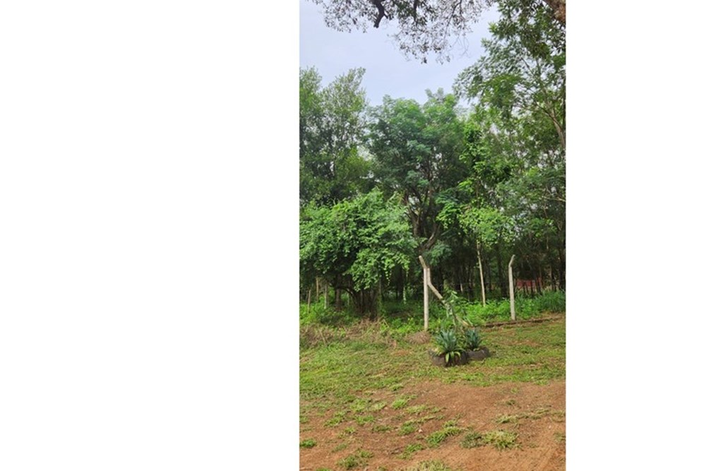 Terreno en venta en Mbayué, Limpio — foto 3
