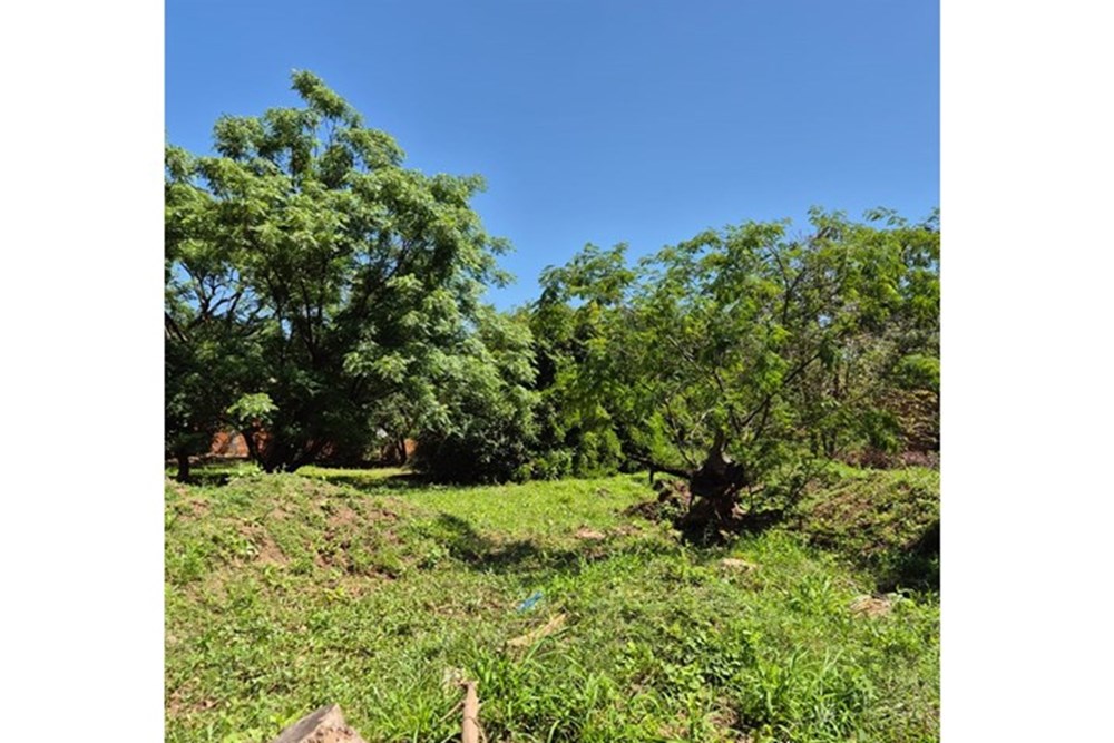 Terreno en venta en Remanso, Mariano Roque Alonso — foto 3