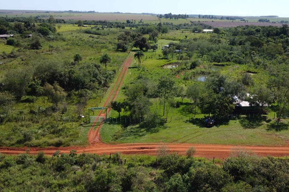 Campo en venta en Hernandarias — foto 3