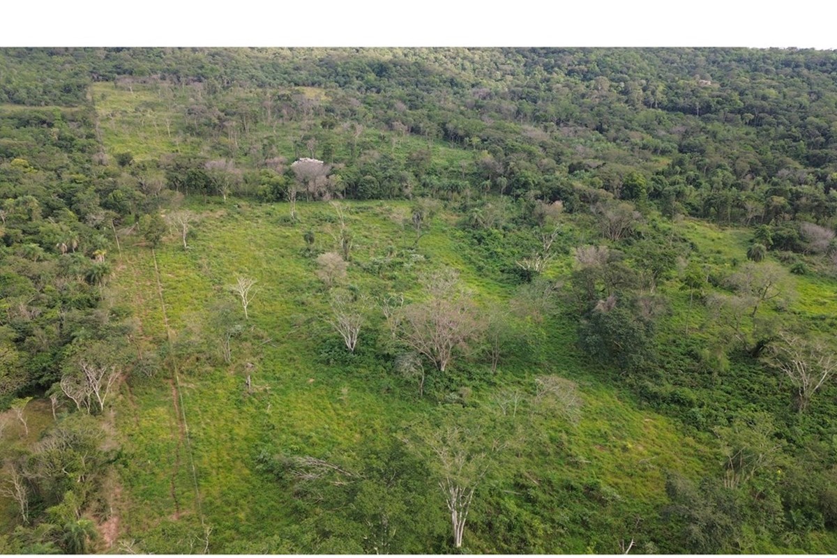 Ubicada en una de las zonas más privilegiadas de Ybycuí, esta extraordinaria propiedad combina el potencial productivo d — foto 2
