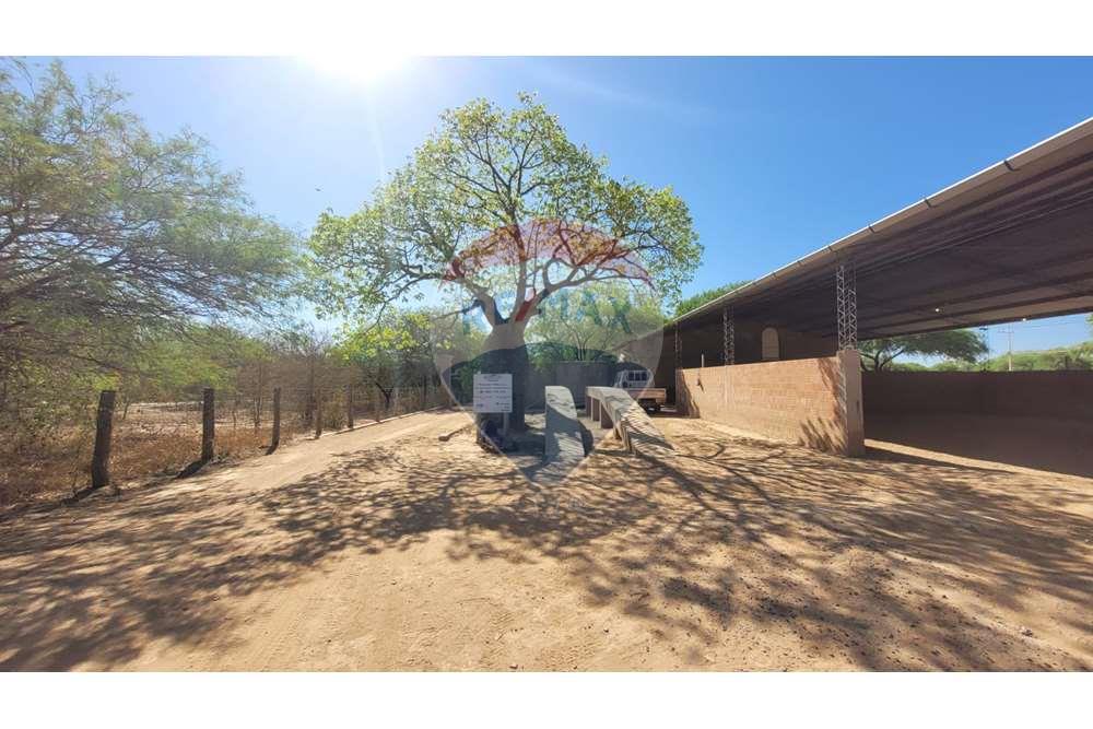 Casa en venta en Filadelfia — foto 2