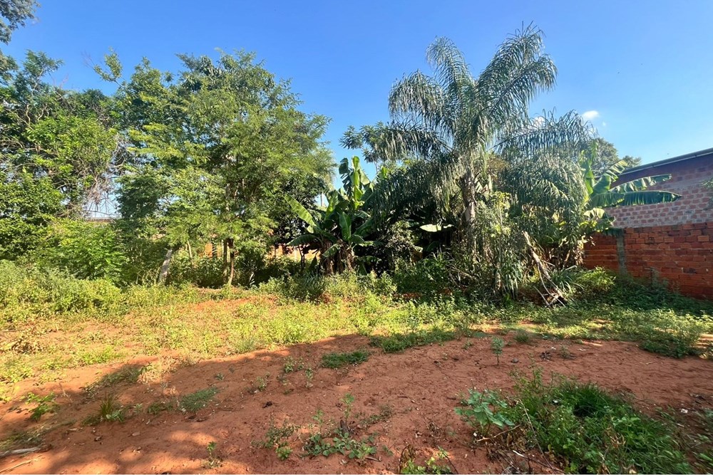 Terreno en venta en Limpio — foto 2