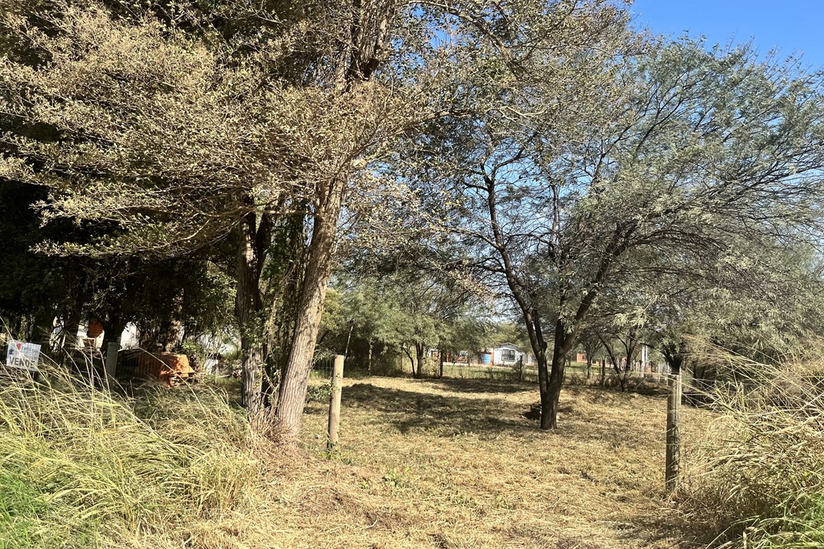 Terreno en venta en Filadelfia — foto 2