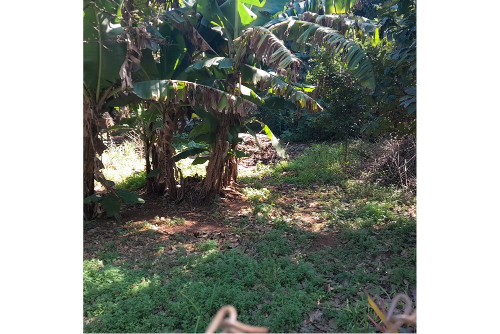 Terreno en venta en María Auxiliadora, Mariano Roque Alonso — foto 3