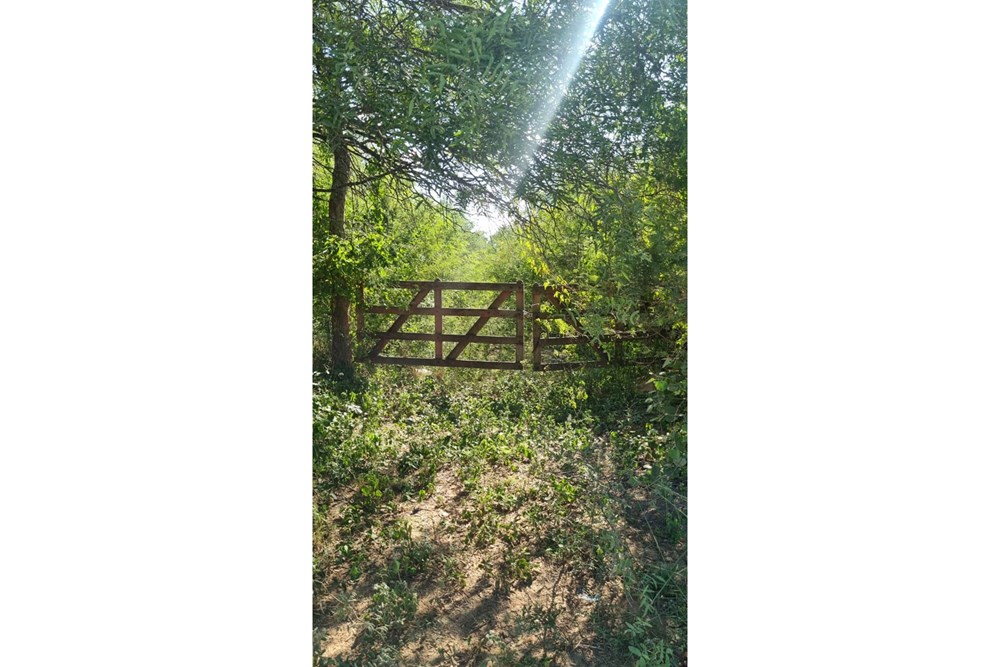 Terreno en venta en Loma Plata — foto 2