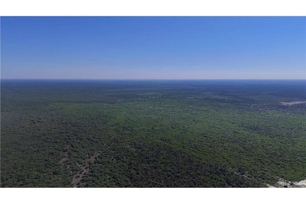 Campo en venta en Teniente Esteban Martínez — foto 3