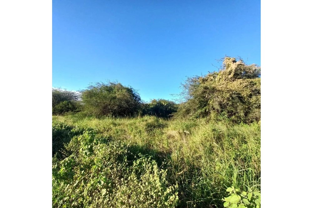 Terreno en venta en Loma Plata — foto 2