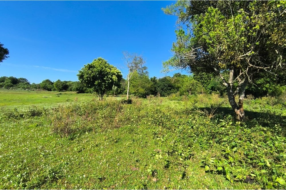 Terreno en venta en Curupayty, Encarnación — foto 2