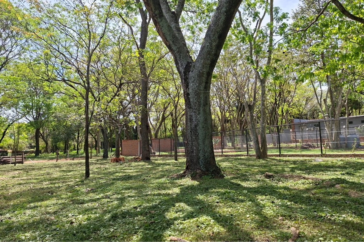 ¡Descubre la oportunidad perfecta de inversión en San Bernardino, Cordillera, Paraguay! Este terreno urbano de 885 metro — foto 2
