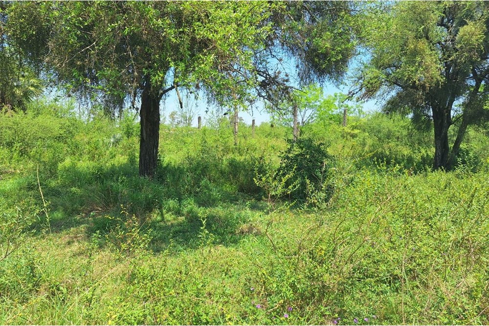 Terreno en venta en Costa Azul, Limpio — foto 3