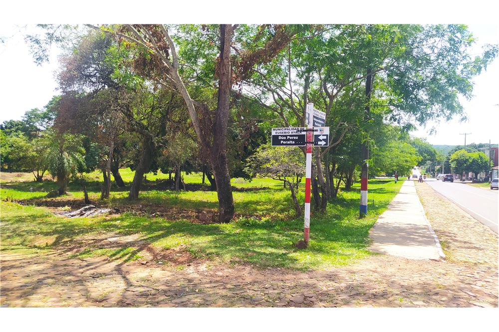 Terreno en venta en Independencia Nacional, Eusebio Ayala — foto 2