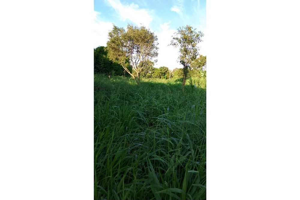 Terreno en venta en Minga Guazú, Alto Paraná. 360 m², 12x30m, ideal para construir o invertir. Ubicación privilegiada, f — foto 2