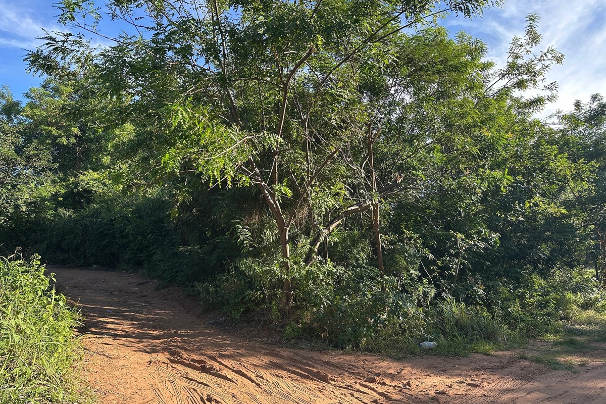 Terreno en venta en Limpio — foto 3