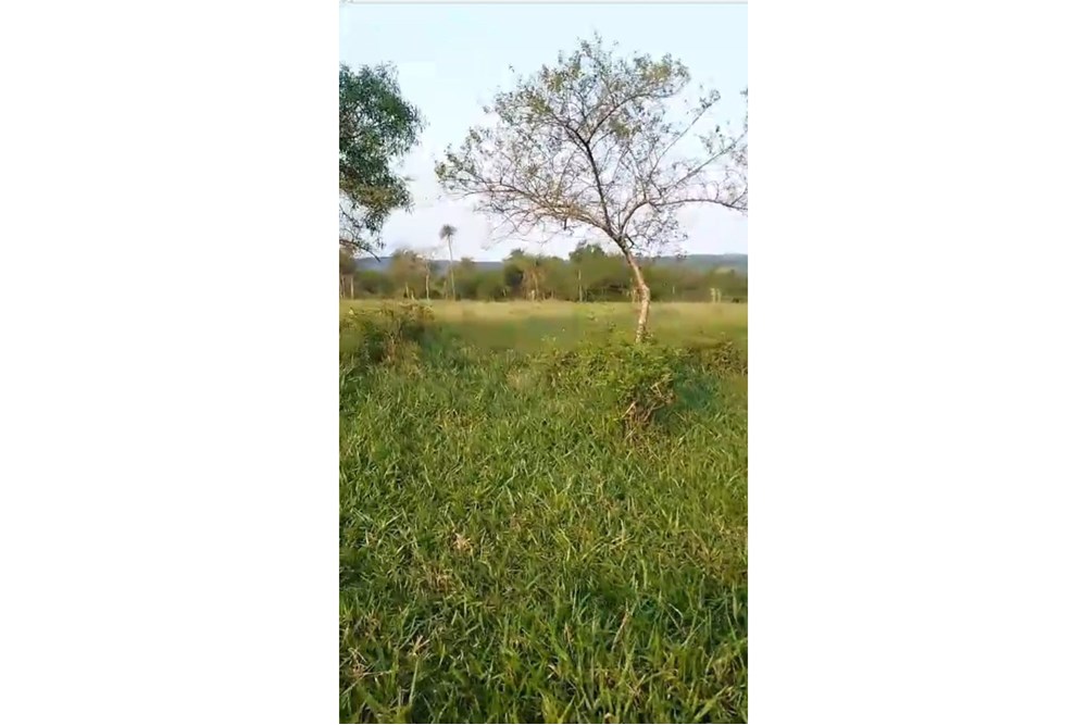 Campo en venta en Ybycuí — foto 3