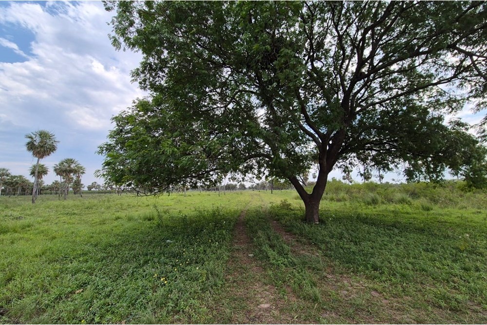 Terreno en venta en Villa Hayes — foto 3