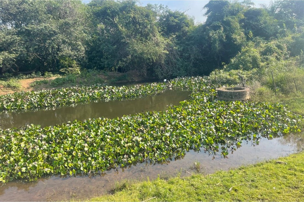 Propiedad en venta en Villeta — foto 2
