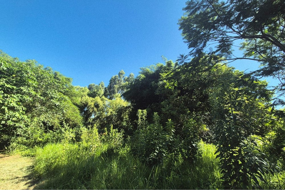 Terreno en venta en Casco Urbano, Capiatá — foto 3