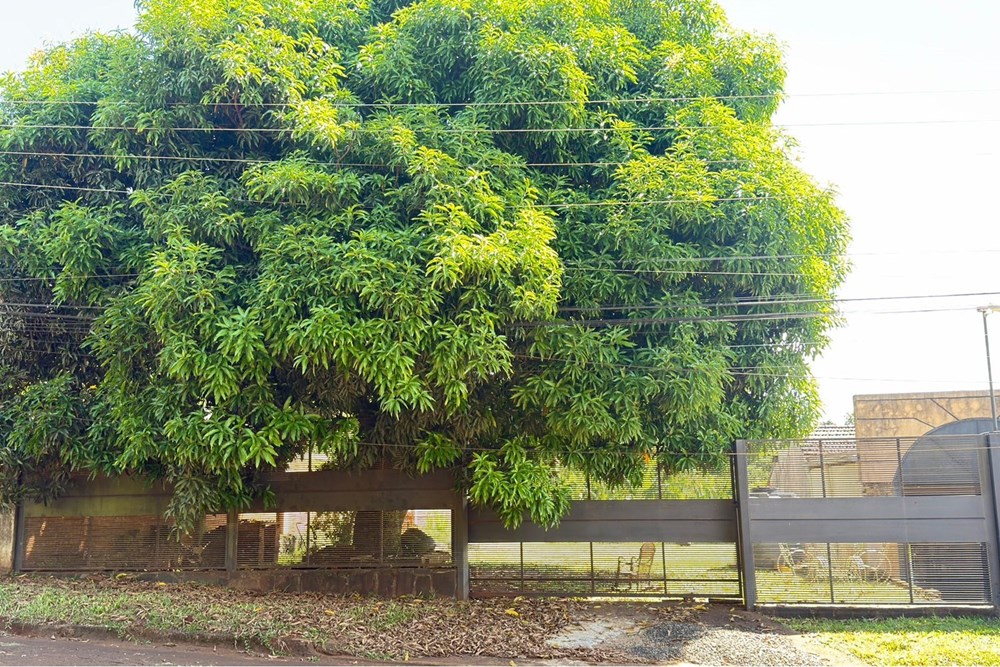 Terreno en venta en Obligado — foto 2