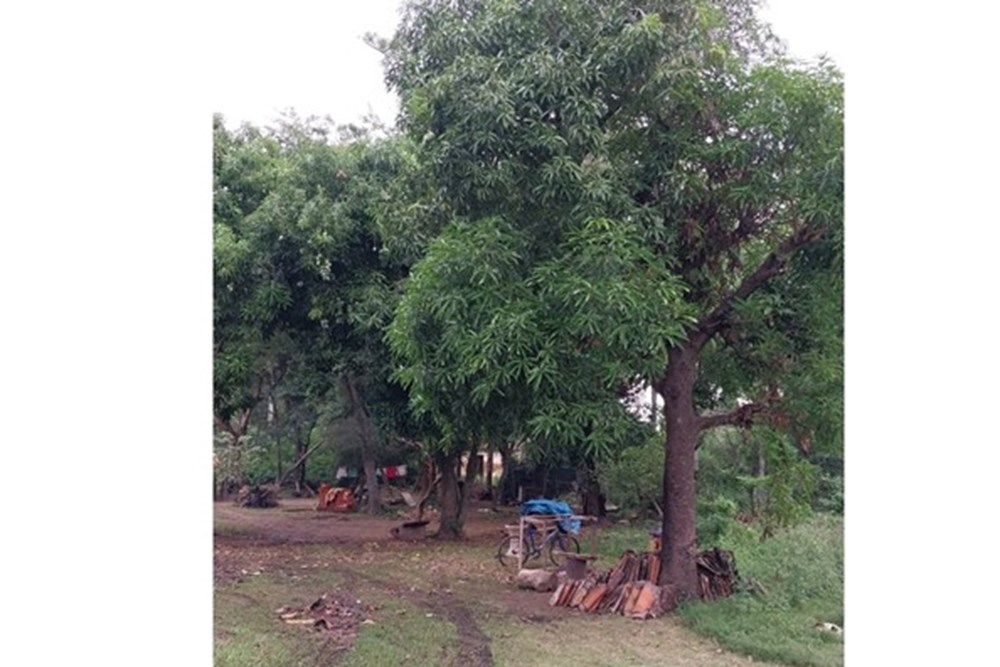 Terreno en venta en Isla Valle, Areguá — foto 2