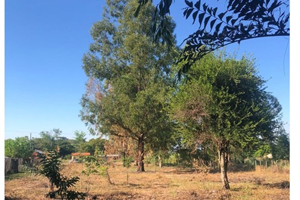 Terreno en venta en Benjamín Aceval — foto 3