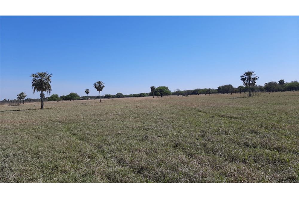Terreno en venta en Doctor José Falcón — foto 2