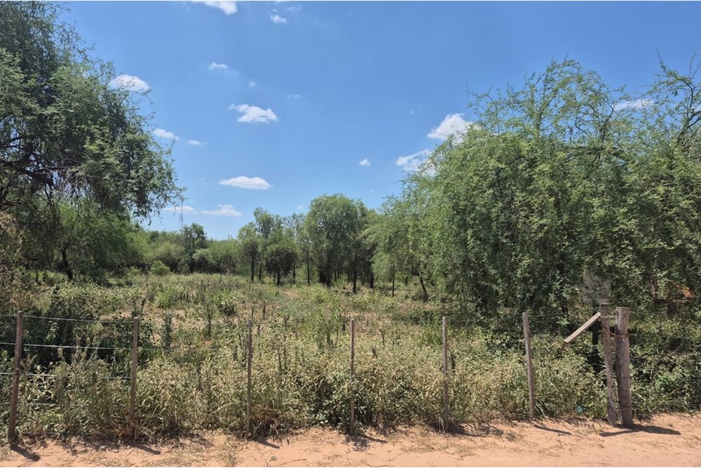 Terreno en venta en Filadelfia — foto 3