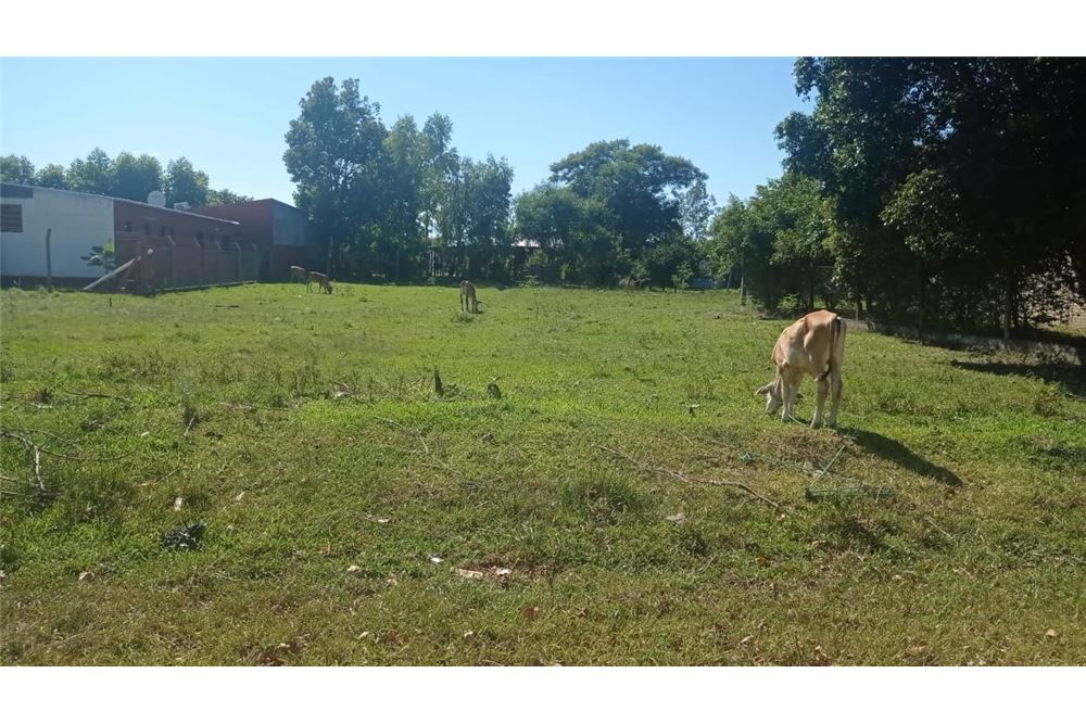Terreno en venta en Villa Florida — foto 2