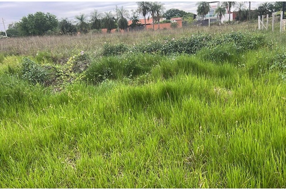 Terreno en venta en San Bernardino — foto 3