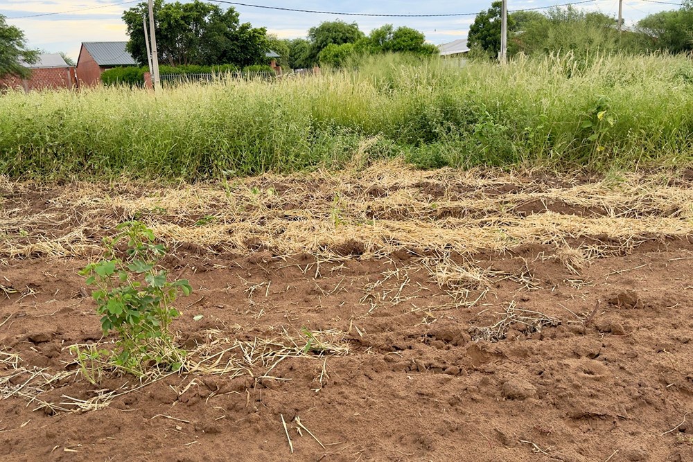 Terreno en venta en Filadelfia — foto 3