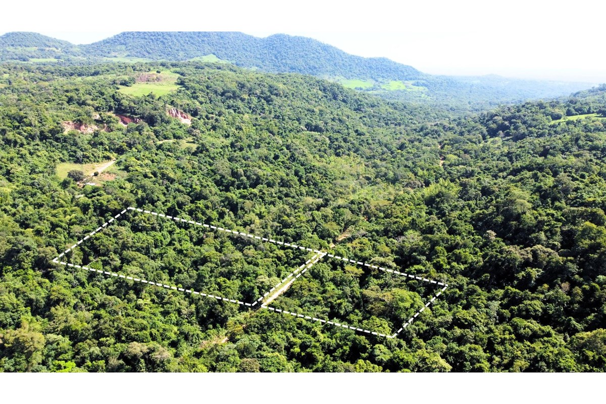 🏞️ 4 TERRENOS JUNTOS EN COLONIA INDEPENDENCIA RUMBO AL CERRO AKATÎ 🌿 — foto 2