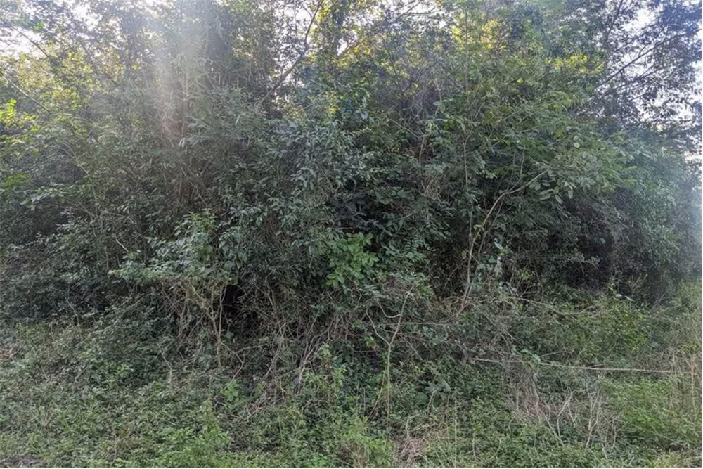 Terreno en venta en Limpio — foto 3