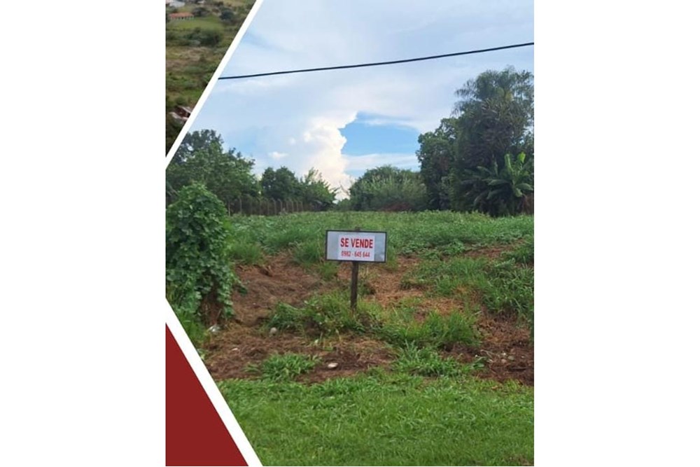 Terreno en venta en Itakyry — foto 3