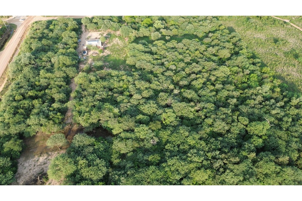 Terreno en venta en Loma Plata — foto 2