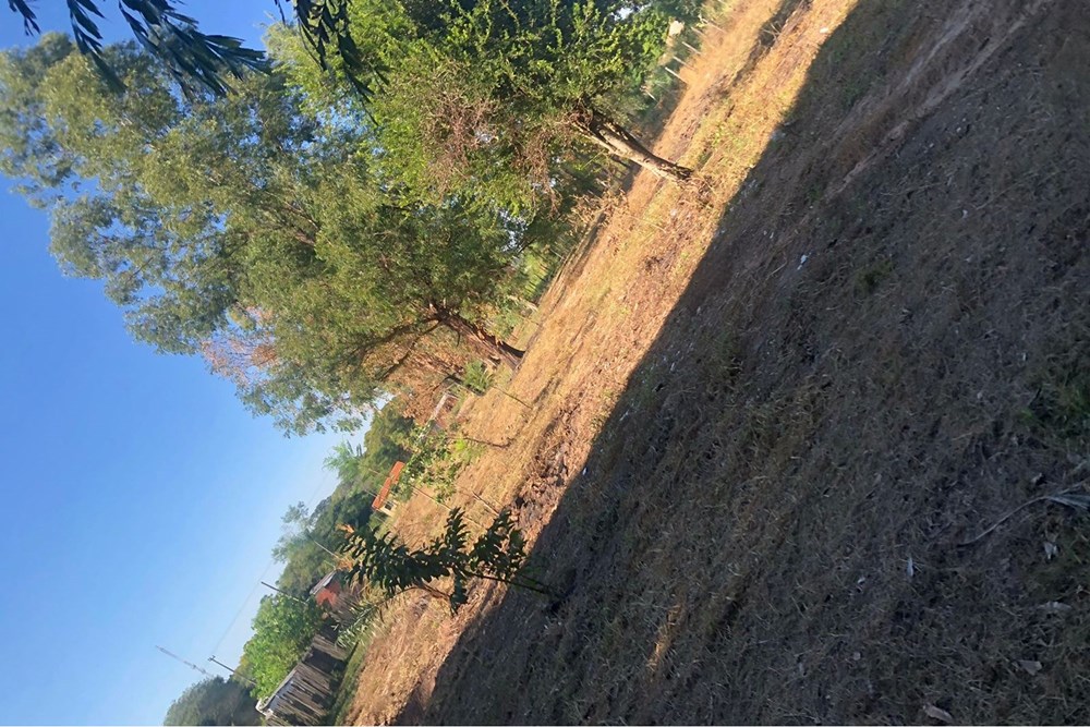 Terreno en venta en Benjamín Aceval — foto 2