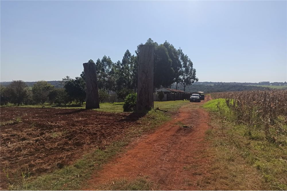 Propiedad agrícola de 47 hectáreas en Hohenau, que incluye tierras de cultivo fértiles, una pintoresca laguna y un arroy — foto 3