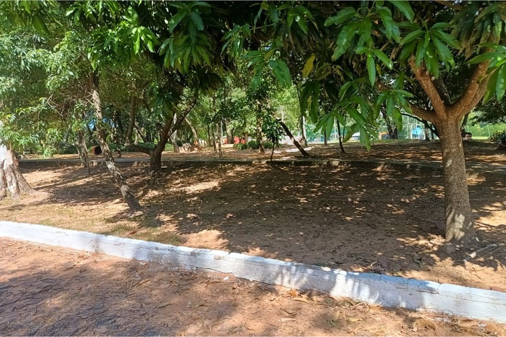 Terreno en venta en Ypané — foto 2