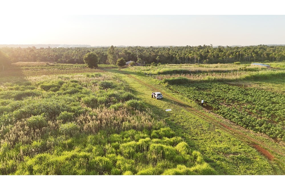 Terreno en venta en Minga Guazú — foto 3